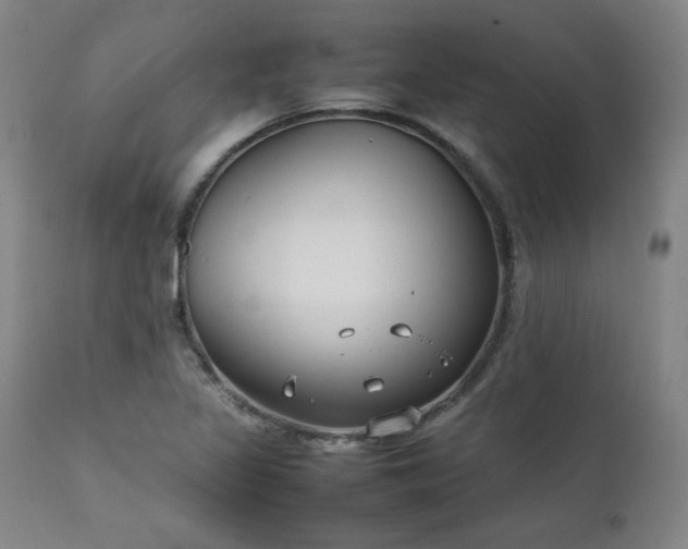 X0000112211317200908211509