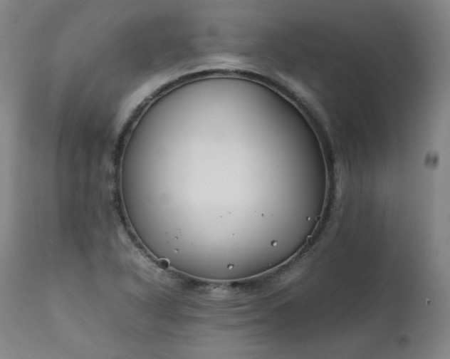 X0000112211318200908211509