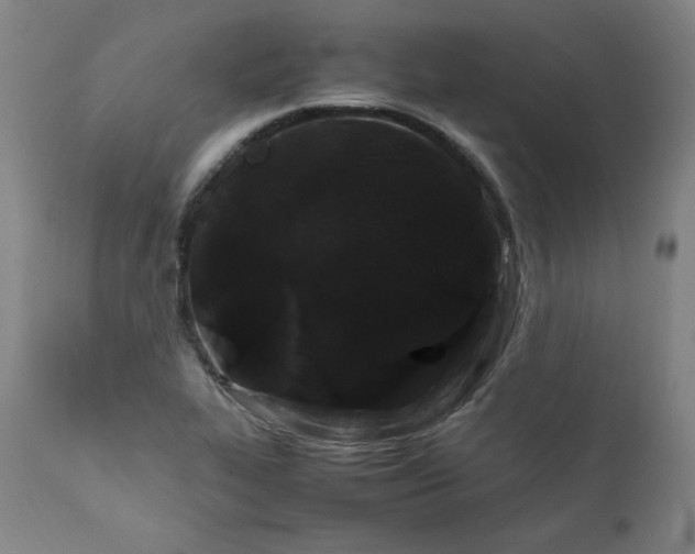 X0000112211319200908211509