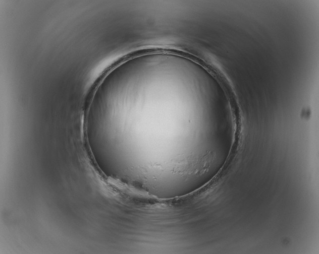 X0000112211320200908211509