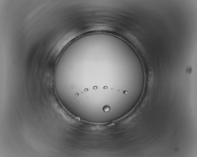 X0000112211321200908211509