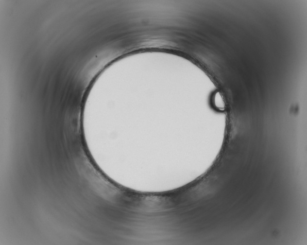 X0000112211322200908211509