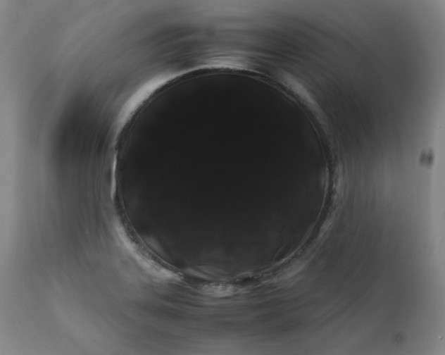 X0000112211323200908211509