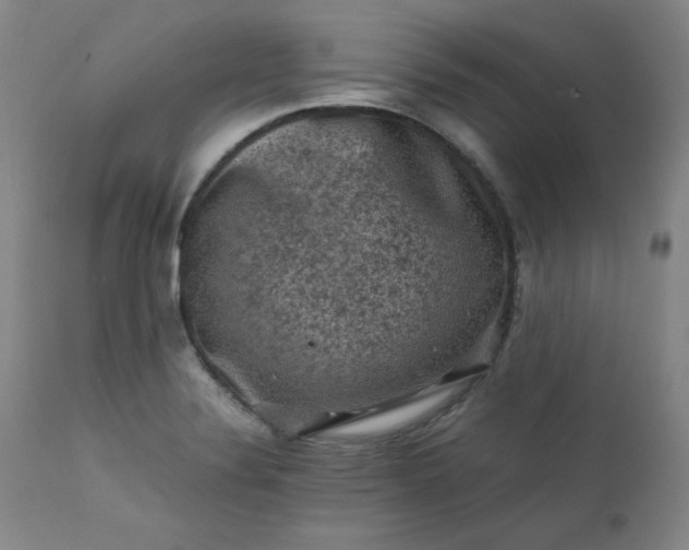 X0000112211324200908211509