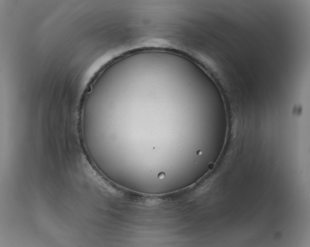 X0000112211326200908211509