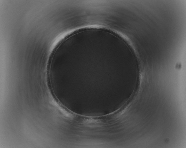 X0000112211327200908211509