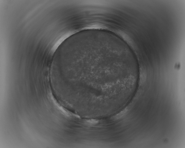 X0000112211329200908211509