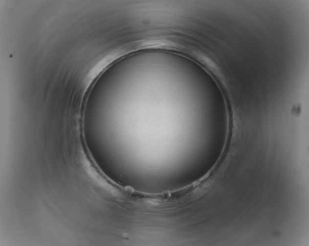 X0000112211330200908211509