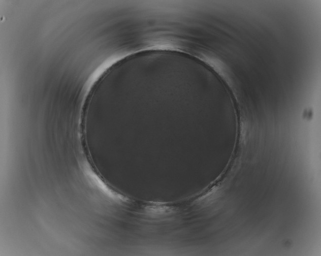 X0000112211331200908211509