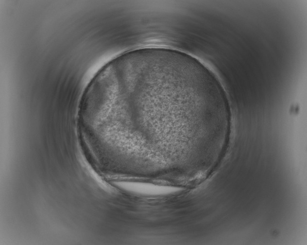 X0000112211333200908211509