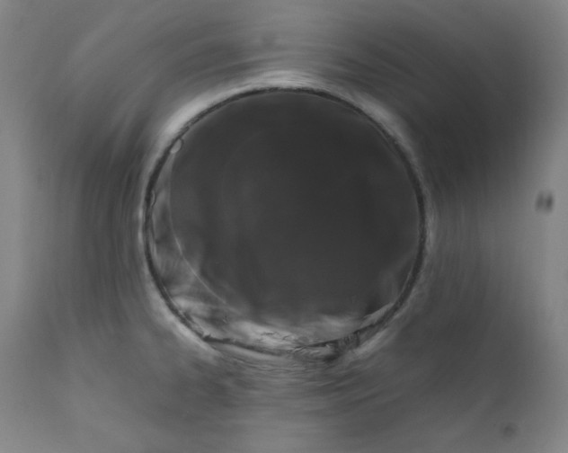 X0000112211334200908211509