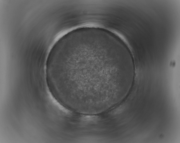 X0000112211335200908211509