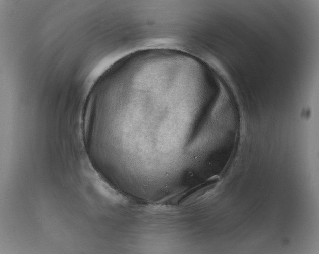 X0000112211336200908211509