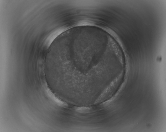 X0000112211337200908211509