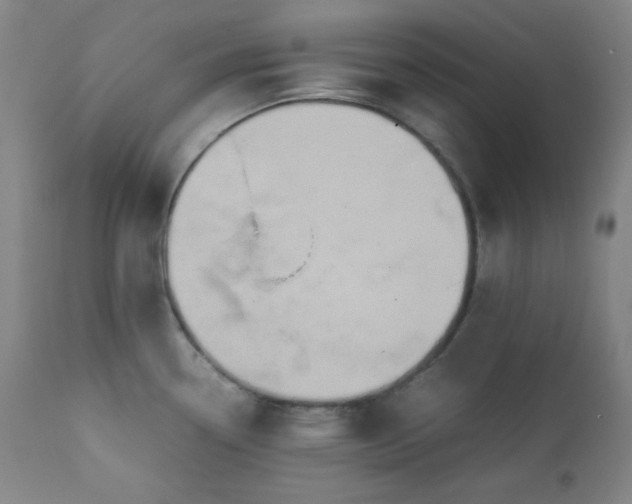 X0000112211338200908211509