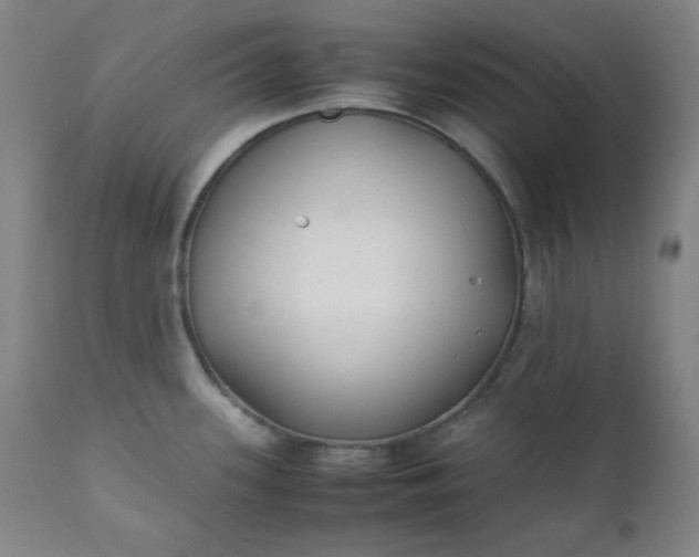 X0000112211339200908211509