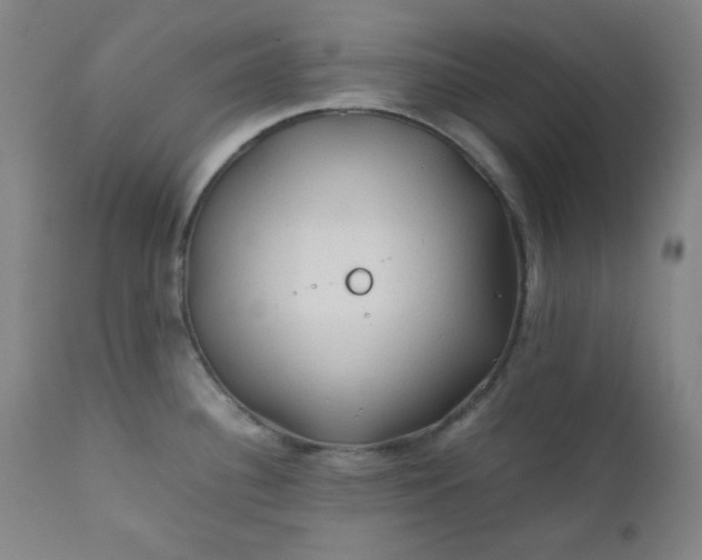 X0000112211340200908211509