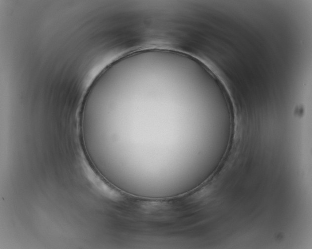 X0000112211341200908211509