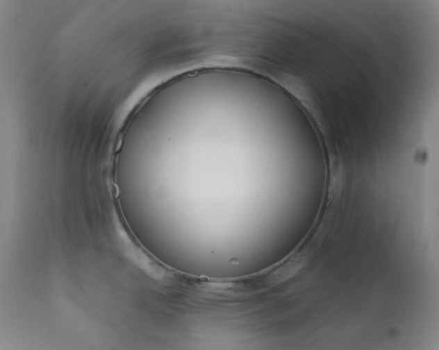 X0000112211342200908211509