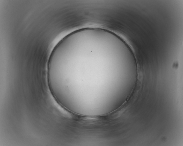 X0000112211343200908211509