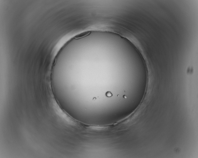 X0000112211344200908211509