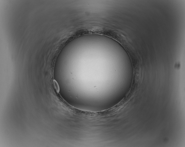 X0000112211345200908211509