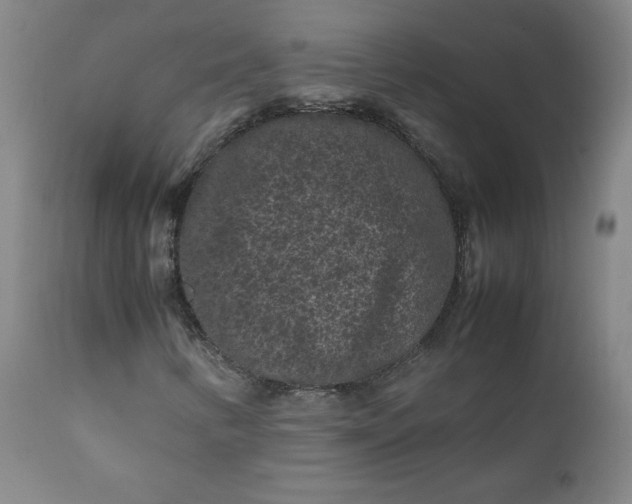 X0000112211346200908211509