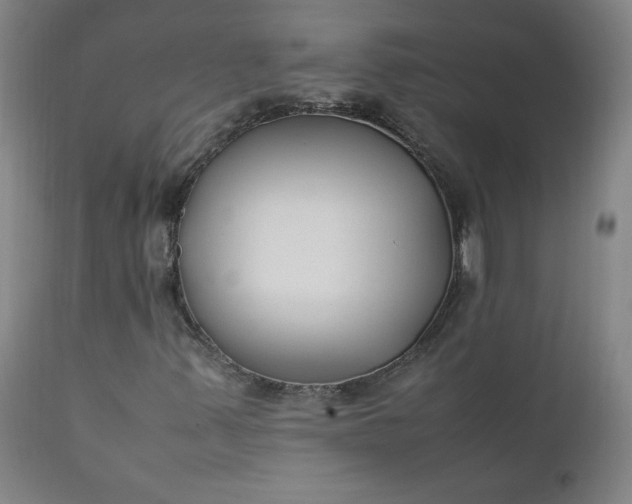 X0000112211347200908211509