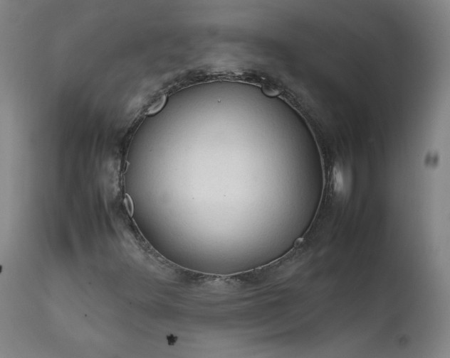 X0000112211348200908211509