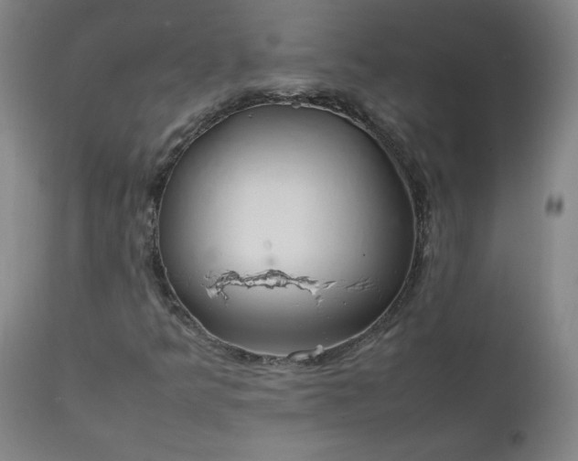 X0000112211349200908211509