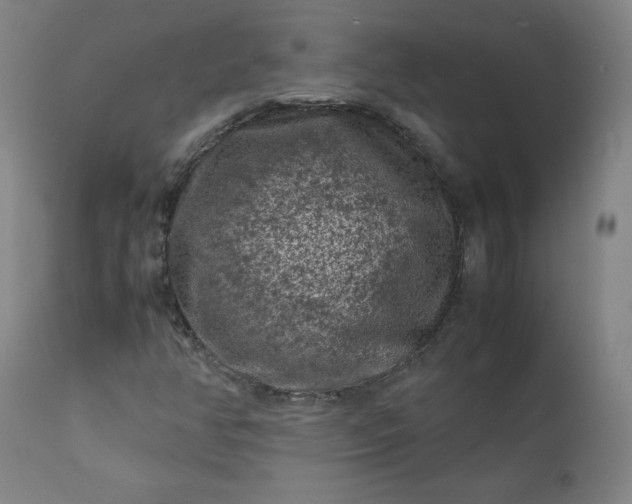 X0000112211350200908211509