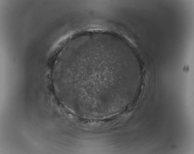 X0000112211351200908211509