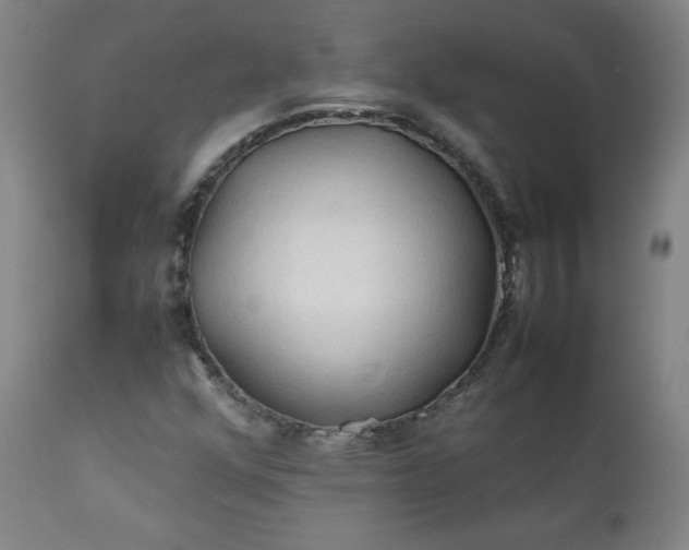 X0000112211352200908211509