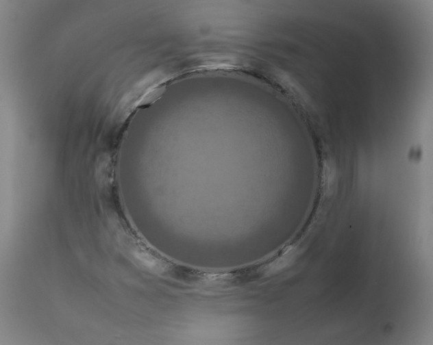 X0000112211353200908211509