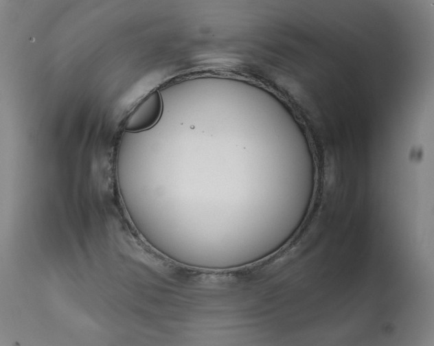 X0000112211354200908211509