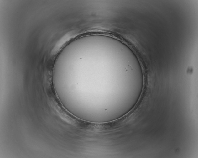 X0000112211355200908211509