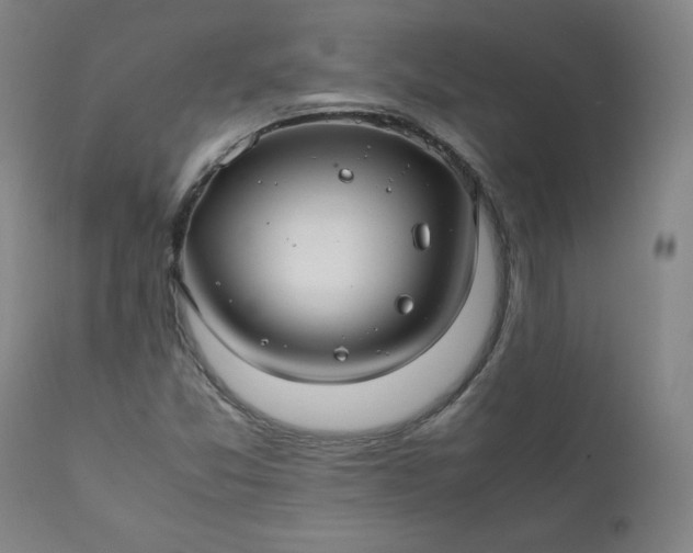 X0000112211357200908211509