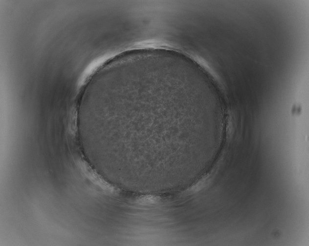 X0000112211358200908211508