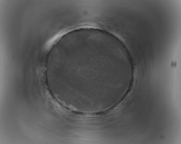 X0000112211359200908211508