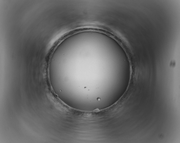 X0000112211360200908211508