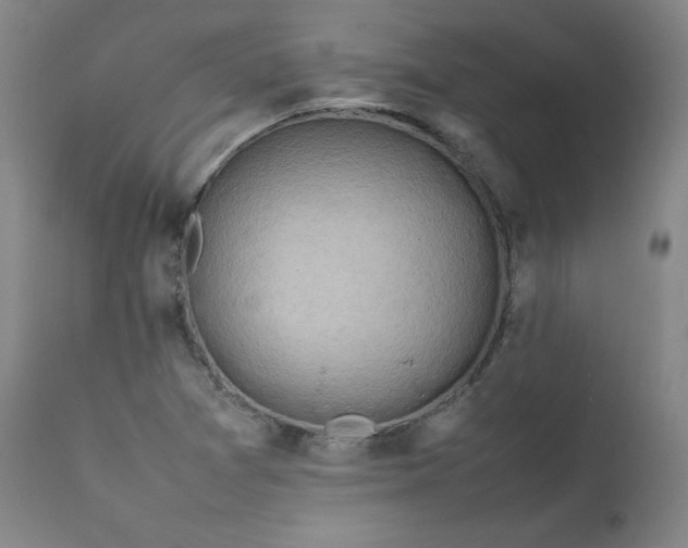 X0000112211361200908211508