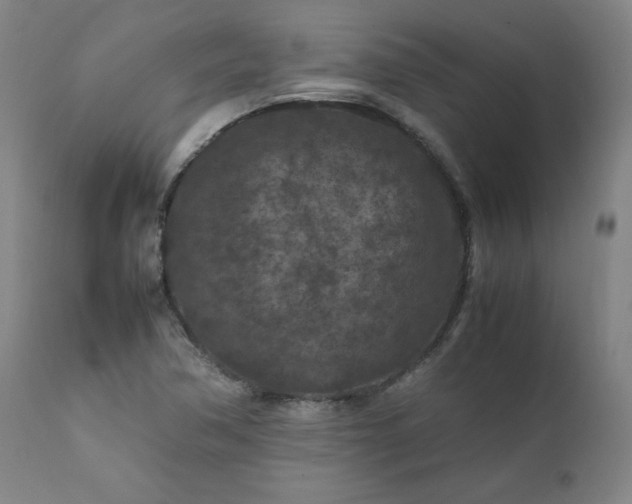 X0000112211362200908211508