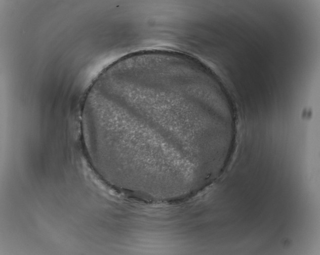 X0000112211363200908211508