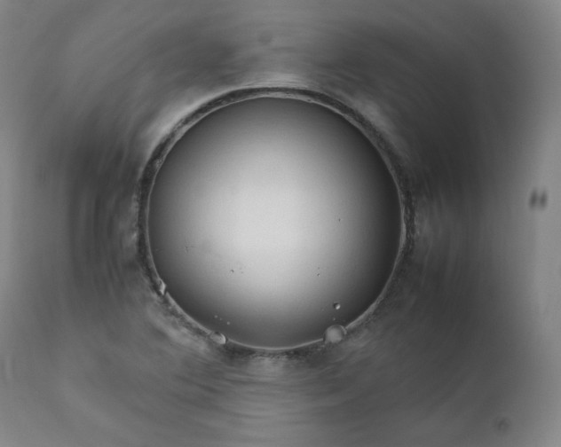 X0000112211364200908211508