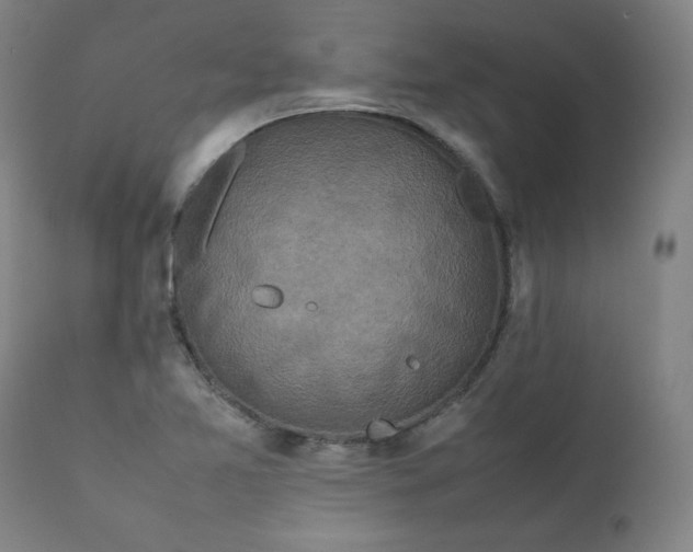 X0000112211365200908211508