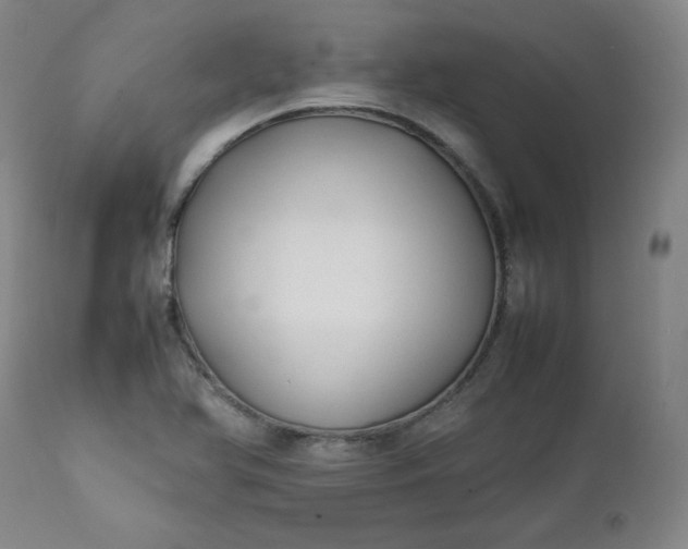 X0000112211366200908211508