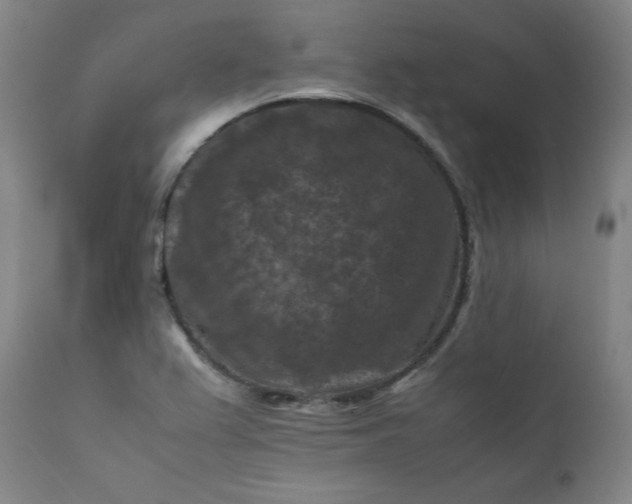 X0000112211367200908211508