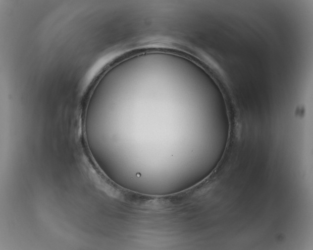 X0000112211368200908211508