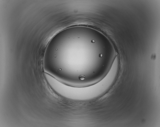 X0000112211369200908211508