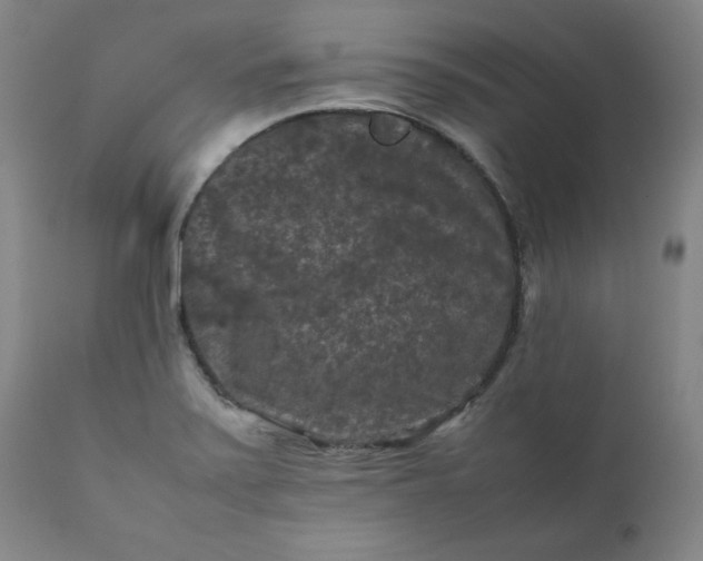 X0000112211371200908211508